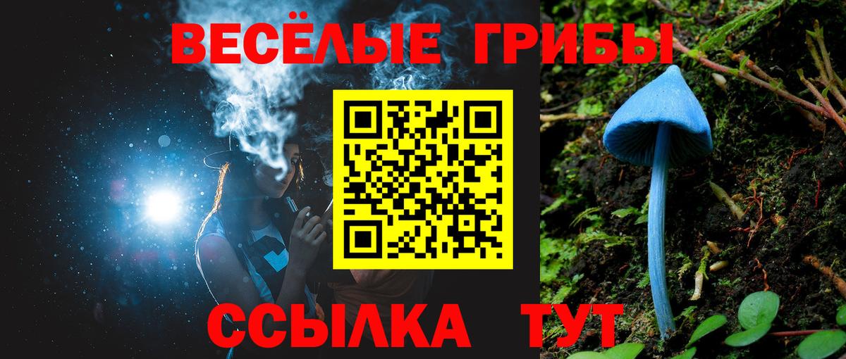 Лсд 25  Меф МЯУ МЯУ  Вход с VPN  ЭКСТАЗИ  Меф МЯУ МЯУ   Канабис  Codein  Кокаин  КЕТАМИН  Камышлов  ГАШ 